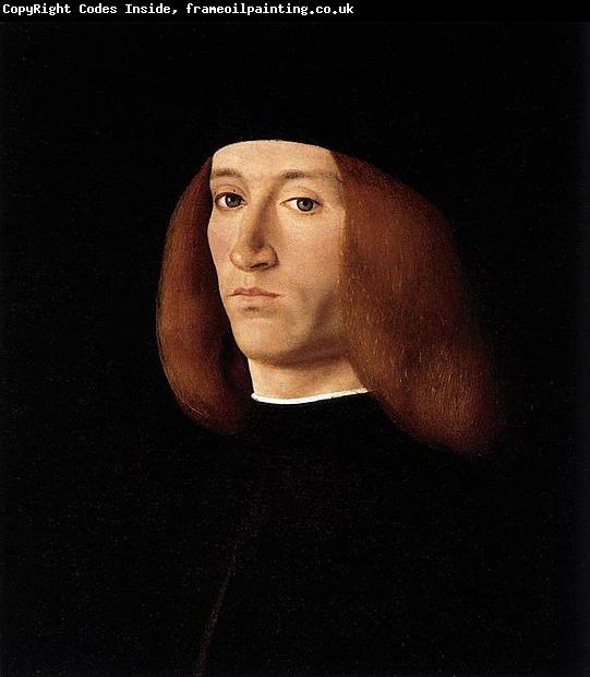 Andrea Solario Portrait of a Young Man after